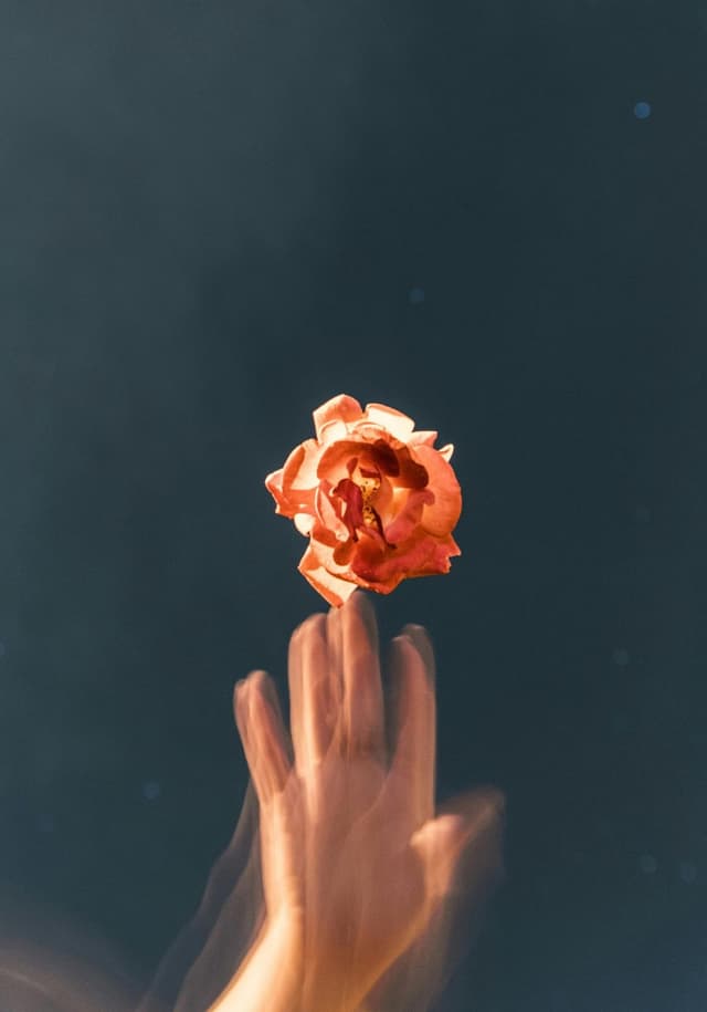 Original image without drawings